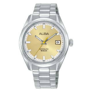 AU4101X1